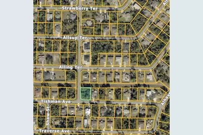 0 Tishman Avenue, North Port, FL 34286 - Photo 1