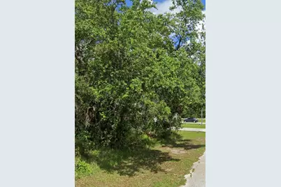 1504 Eloise Court, Kissimmee, FL 34759 - Photo 1