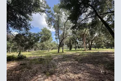 620 Cochran Road, Geneva, FL 32732 - Photo 6