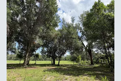 620 Cochran Road, Geneva, FL 32732 - Photo 2