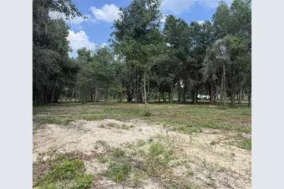 620 Cochran Road, Geneva, FL 32732 - Photo 4