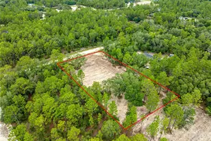 Tbd SW 125 Terrace, Dunnellon, FL 34432 - Photo 8