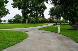 37180 County Rd 452, Grand Island, FL 32735 - Photo 2