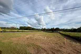 SE 113th Street Rd, Ocklawaha, FL 32179 - Photo 1