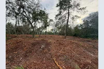 Sequoia Trail, Ocklawaha, FL 32179 - Photo 1