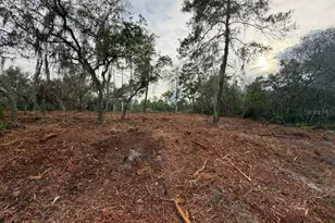 9640 SE 170th Ln, Ocklawaha, FL 32179 - Photo 1