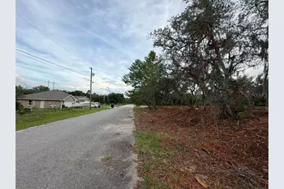 Sequoia Trail, Ocklawaha, FL 32179 - Photo 4