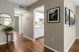 4335 Aegean Dr, Tampa, FL 33611 - Photo 10