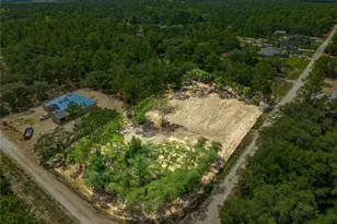 Tbd SW 122 Ave, Dunnellon, FL 34432 - Photo 4