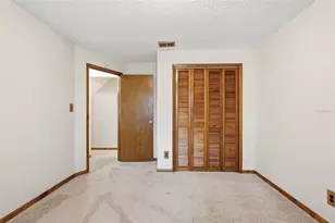 10207 N Hyaleah Rd, Tampa, FL 33617 - Photo 24