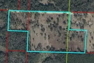 NE 172nd Ct, Williston, FL 32696 - Photo 1