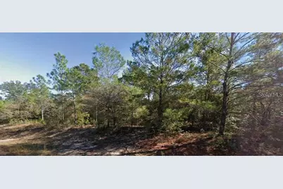 Colmart Drive, Chipley, FL 32428 - Photo 2