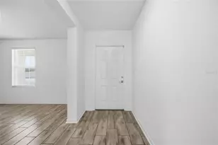5215 Tanzanite Dr, Mount Dora, FL 32757 - Photo 20