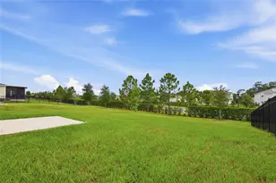 5215 Tanzanite Dr, Mount Dora, FL 32757 - Photo 64
