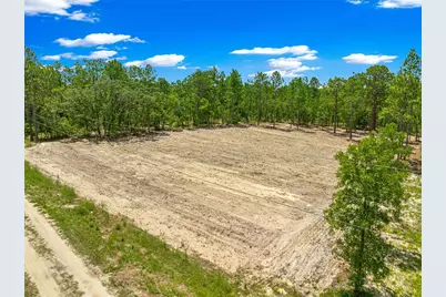 Tbd SW 90 Place, Dunnellon, FL 34432 - Photo 8