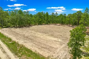 Tbd SW 90 Pl, Dunnellon, FL 34432 - Photo 8