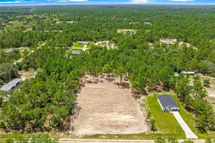 Tbd SW 90 Pl, Dunnellon, FL 34432 - Photo 4