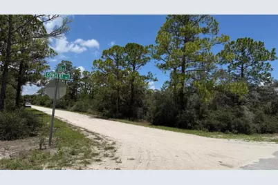 346 Blue Moon Ave, Lake Placid, FL 33852 - Photo 2