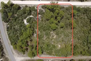 346 Blue Moon Ave, Lake Placid, FL 33852 - Photo 1
