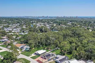298 Poinciana Ave, Port Orange, FL 32127 - Photo 26
