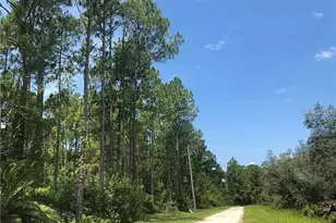 0 Thacker Trail, Kissimmee, FL 34747 - Photo 1