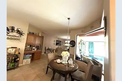 3982 Blossom Dew Drive, Kissimmee, FL 34746 - Photo 6