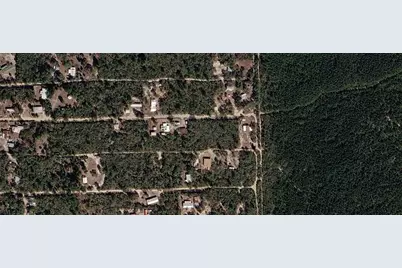 Xx NE 234th Lane, Fort Mc Coy, FL 32134 - Photo 2