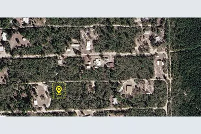 X NE 234th Lane, Fort Mc Coy, FL 32134 - Photo 1