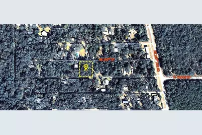 X NE 192nd Street, Fort Mc Coy, FL 32134 - Photo 1