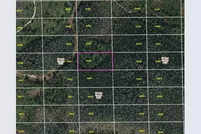 Dill Road, Orlando, FL 32820 - Photo 4