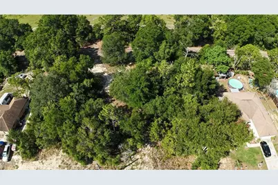 Bahia Court Track, Ocala, FL 34472 - Photo 4