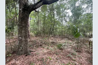 16486 Curlew Road, Brooksville, FL 34614 - Photo 4