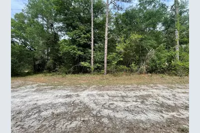 16486 Curlew Road, Brooksville, FL 34614 - Photo 2