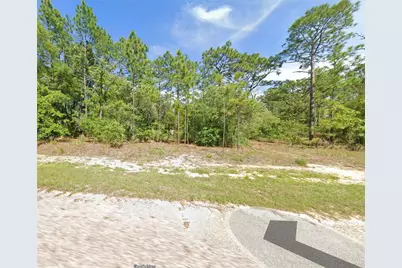 1956 W Wavecrest Drive, Dunnellon, FL 34434 - Photo 2