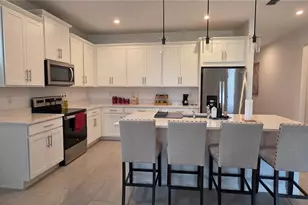 2062 Suwannee Banks St, Clermont, FL 34711 - Photo 4