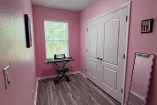 10426 Yellow Spice Ct, Riverview, FL 33578 - Photo 14