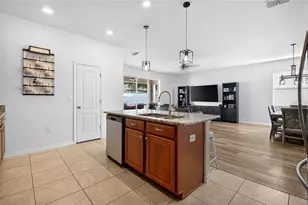 4841 Havilland Dr, Mount Dora, FL 32757 - Photo 8