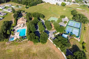 4841 Havilland Dr, Mount Dora, FL 32757 - Photo 40