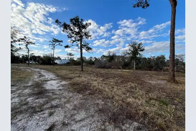 2670 McMichael Road, Saint Cloud, FL 34771 - Photo 10