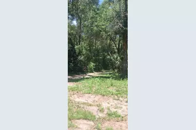 2700 Junction Road, Zellwood, FL 32798 - Photo 36