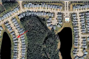 5644 Estero Loop, Port Orange, FL 32128 - Photo 56