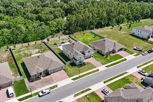 5270 Obsidian Gate Dr, Mount Dora, FL 32757 - Photo 50