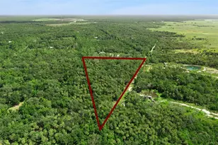 2401 Canvasback Trail, Geneva, FL 32732 - Photo 2