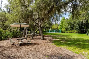 11634 Nellie Oaks Bend, Clermont, FL 34711 - Photo 28