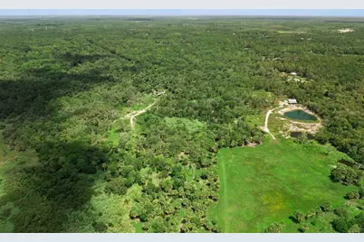 Canvasback Trail, Geneva, FL 32732 - Photo 6