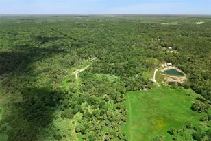 Canvasback Trail, Geneva, FL 32732 - Photo 6