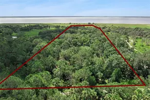 Canvasback Trail, Geneva, FL 32732 - Photo 2