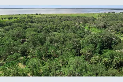 Canvasback Trail, Geneva, FL 32732 - Photo 10