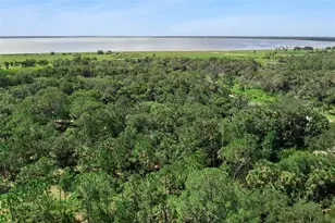 Canvasback Trail, Geneva, FL 32732 - Photo 10