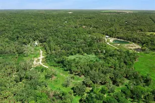Canvasback Trail, Geneva, FL 32732 - Photo 16